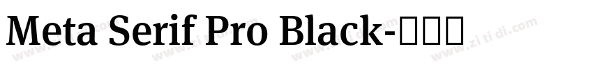 Meta Serif Pro Black字体转换